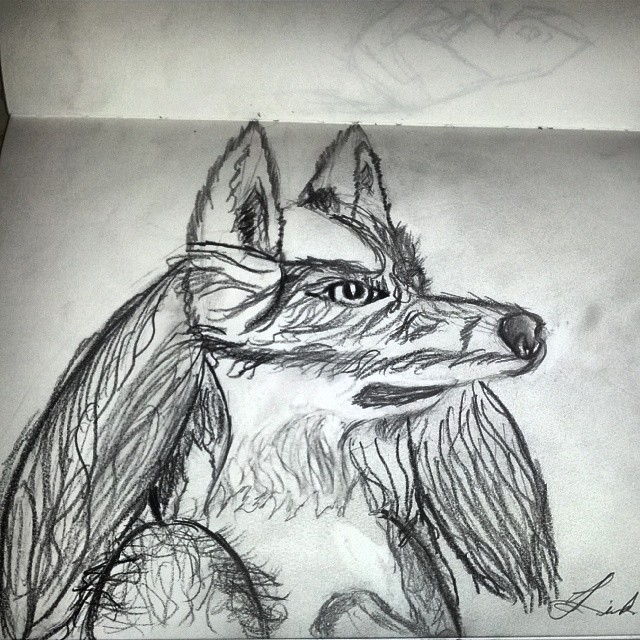 Realistic Lucario (Speed drawing)