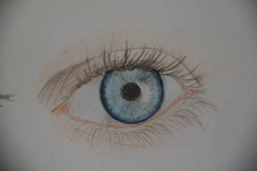 An eye