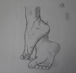 Feet anatomy