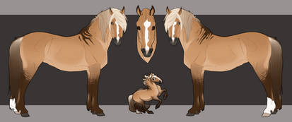 Horse Adopt [CLOSED]