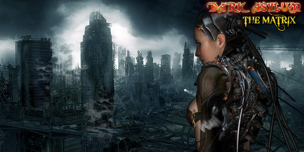 Matrix Inferay the matrix inlay cover by MaskDemon on DeviantArt