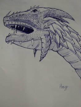 Dragon head