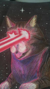 Galaxy meow meow 