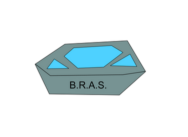 B.R.A.S.