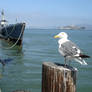 Guard of Alcatraz