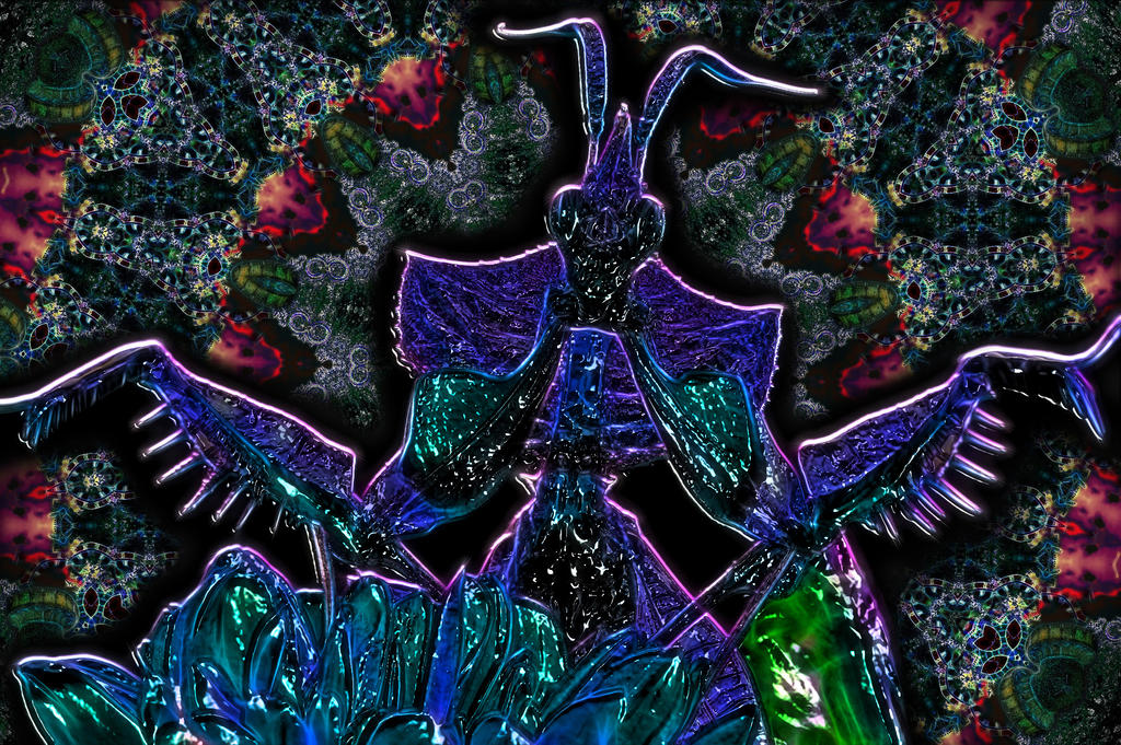 Mantis Digimon PRAYING MANTIS by Magicmind3 on DeviantArt