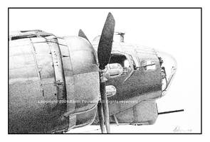 B-17