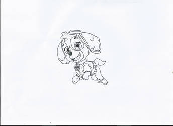 paw patrol skye