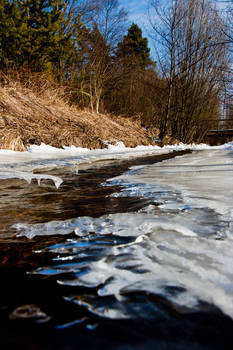 stream in the winter