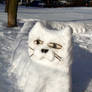 Snowy Endless cat