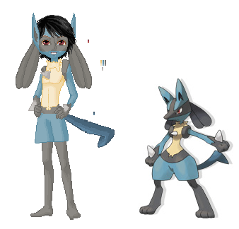 pokemon dolly-Lucario