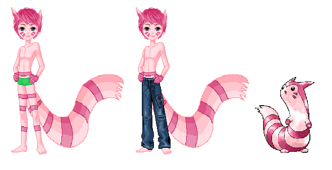 pokemon dolly- Furret Shany