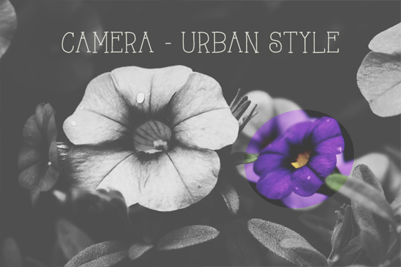 Antique White | Camera-Urban Style