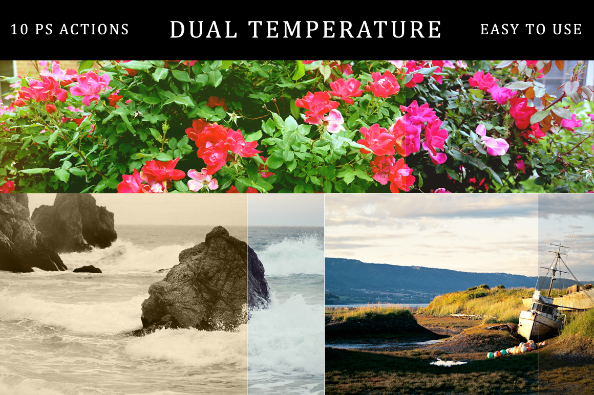 Dual Temperature | PS Actions