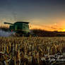 Harvest Sunset 3