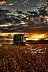 Harvest Sunset 7