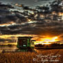 Harvest Sunset 7