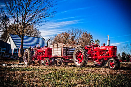 Old Time Harvest