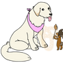 Chica and Pip