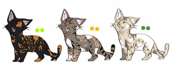 Kitten Adopts Batch (CHEAP/OPEN)