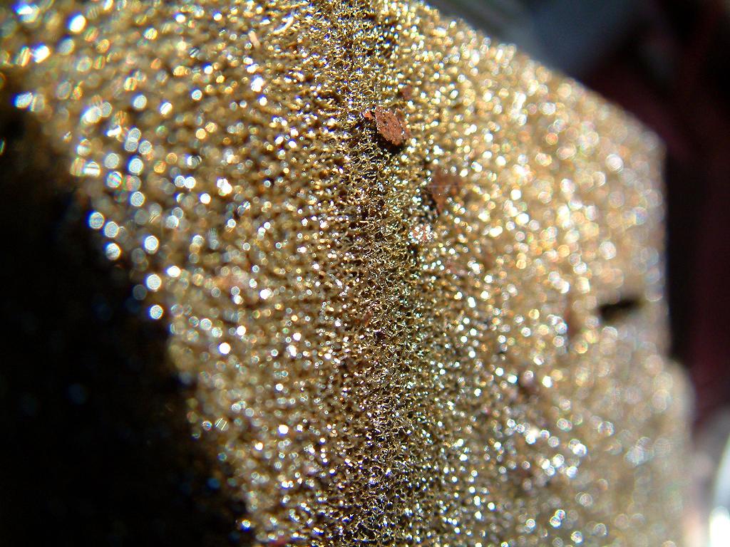 Macro Sponge