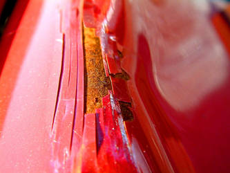 Macro Paintwork