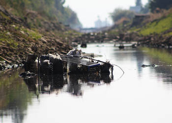 cart in the water