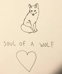 Little wolf sketch 