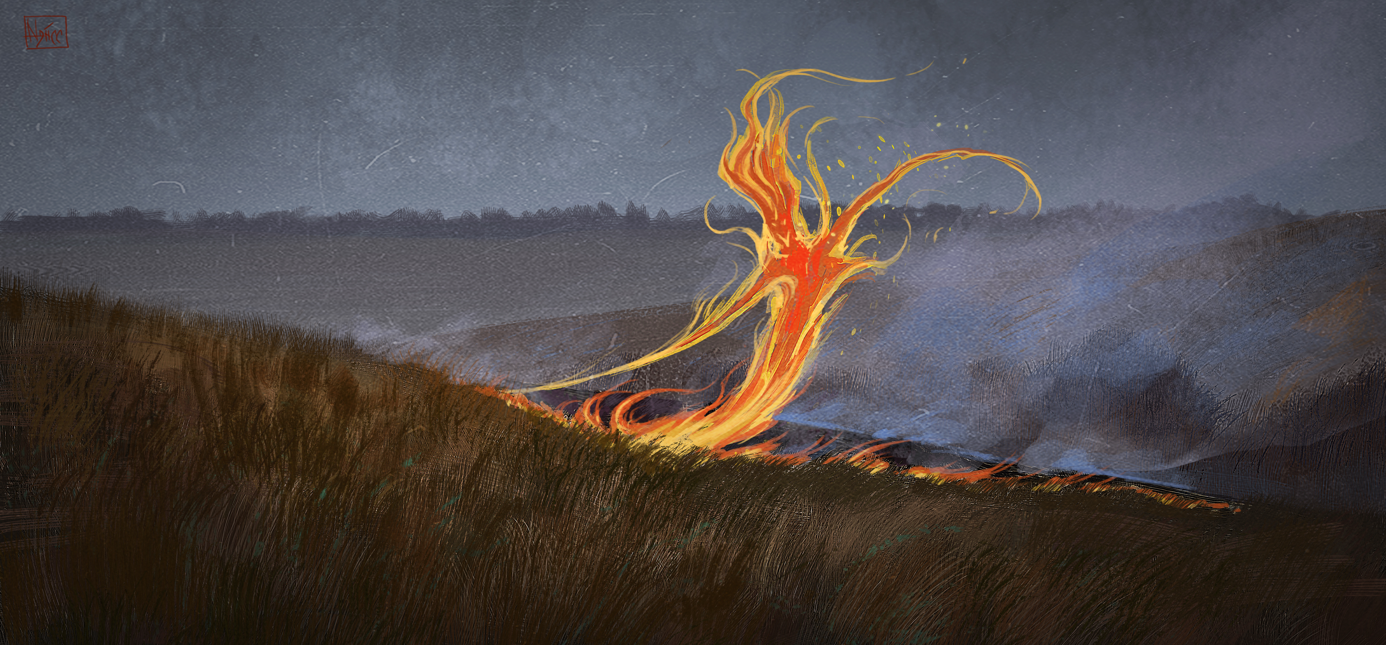 Grass and fire