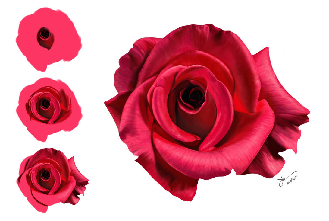 Painting Hyperrealism Rose on IPad Pro by Anweer on DeviantArt