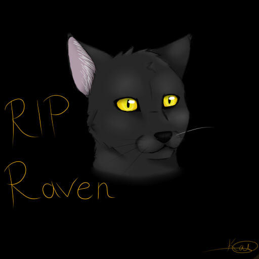RIP Raven by RavenMockery on DeviantArt