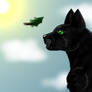 Hollyleaf