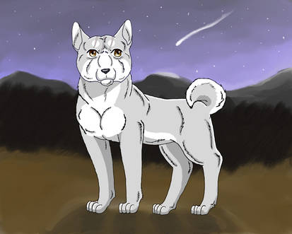 Ginga Nagareboshi Gin (Silverfang/Hopeanuoli)