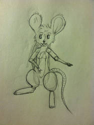 Mouse Sketch, female