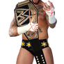 Cm Punk Wwe Champion