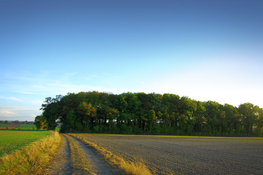 Treasureland of autumn