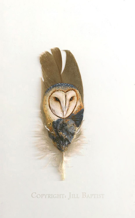 Barn Owl