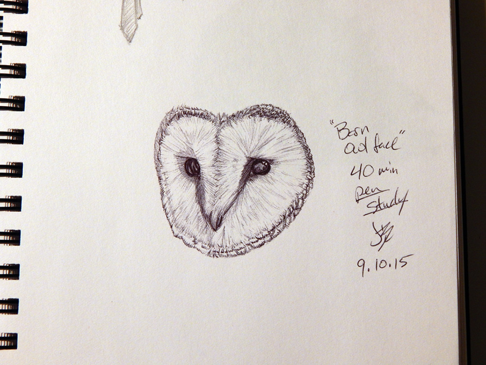 Inktober 1 - Barn owl