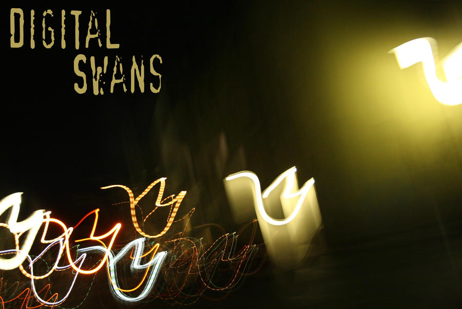 Digital Swans