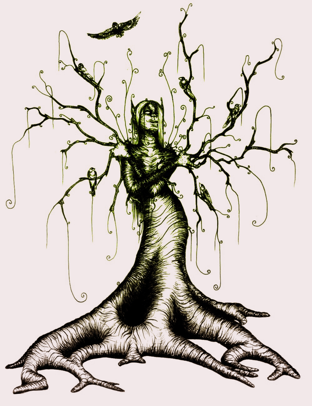 Tree Spirit