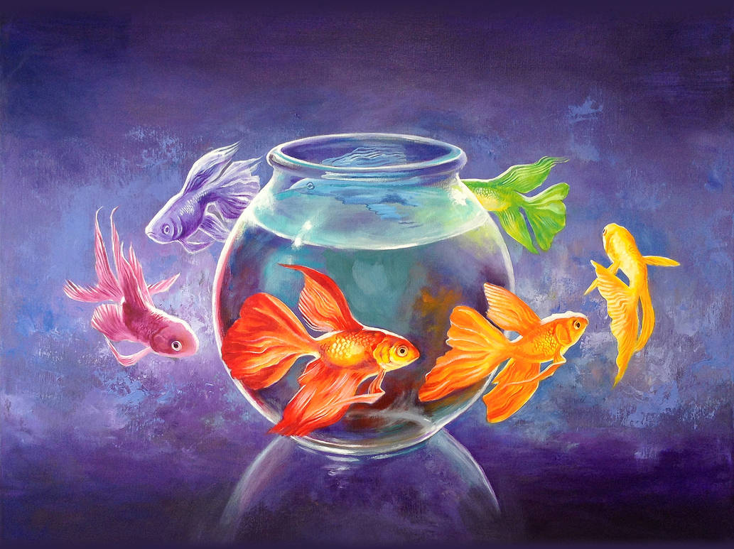 Deviantart 2007 Goldfish Goldfish XII by DanielLoveday on DeviantArt