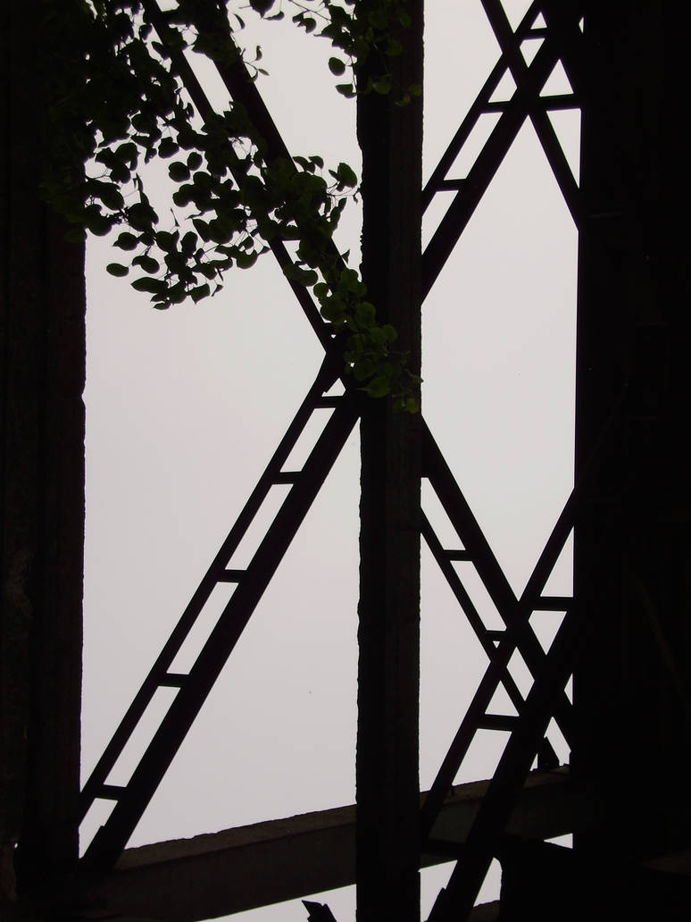 shadow ladders by eghuu on DeviantArt