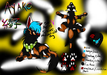 Ayako Ref Sheet