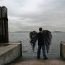 Dark Angel