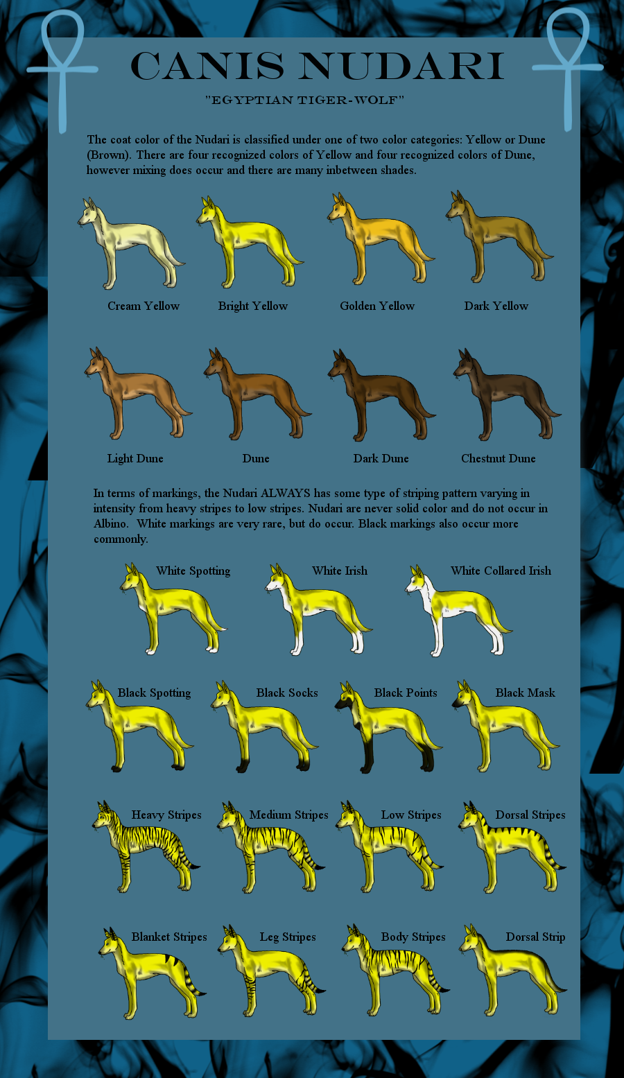 Canis Nudari: Colors+Markings