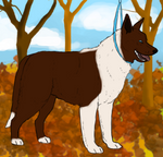 Halloween Dog Show Conformation - Reigh by MidnightAyaChan