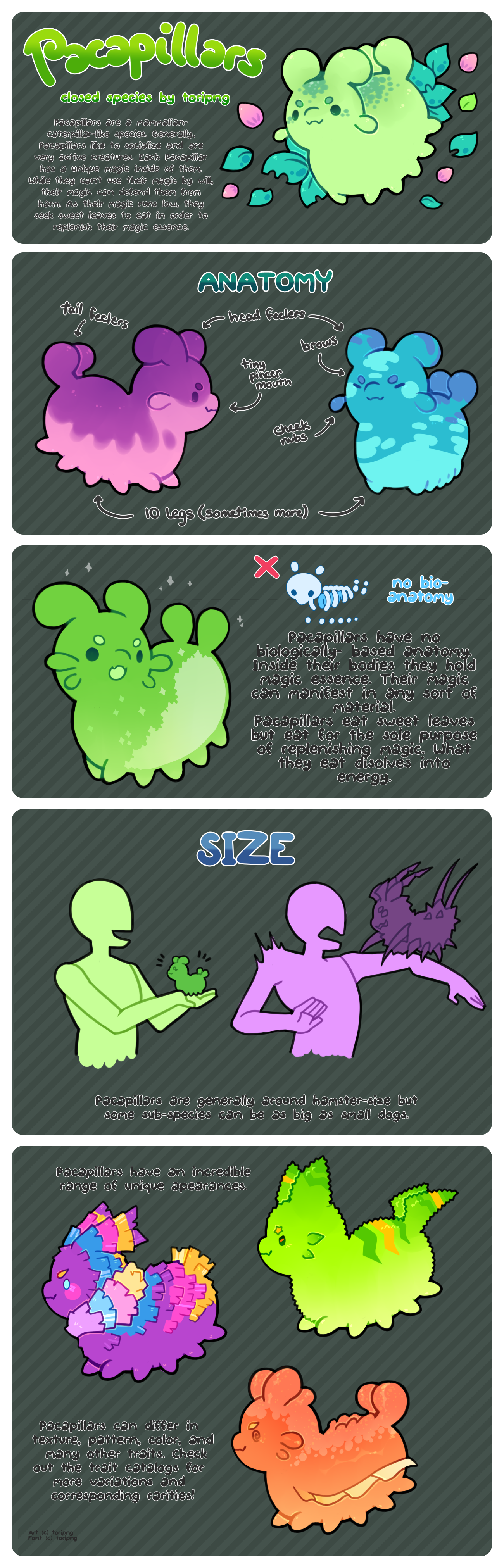 Pacapillars - Species Guide