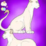 Lioness Adoptable