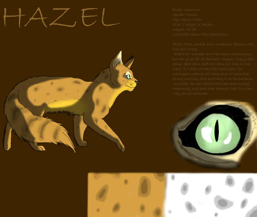 Hazel Reference Sheet