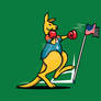 BOXING SOCCEROOS